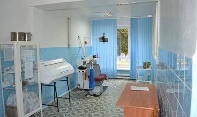 Вышгородская районная стоматологическая поликлиника