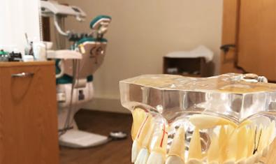 Стоматолог и Я, стоматология