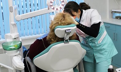 Стоматология Dental Medical