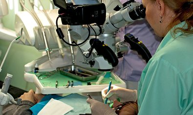 Стоматология Профидент-Плюс