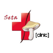 Медицинский центр Seta-Clinic - логотип