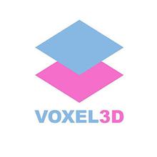 Voxel 3D, центр цифровой диагностики - логотип