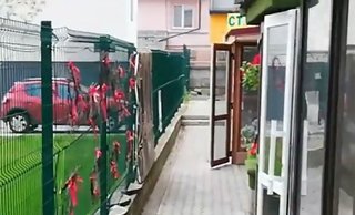 Стоматология СтомаLаnd на Гайдамацкой