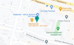 Центр челюстно-лицевой диагностики «Planmeca 3D» - на карте Центр челюстно-лицевой диагностики «Planmeca 3D» - на карте
