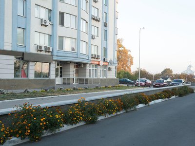 Стоматологический центр «Стрелиция» Стоматологический центр «Стрелиция»