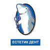 Стоматология Эстетик Дент - логотип